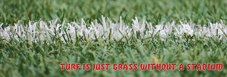 Tampa Stadium Dedicated on November 4 1967