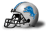 Detroit Lions of the NFC North