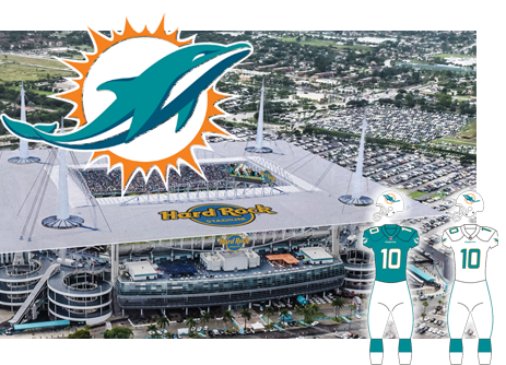 miami dolphins tampa bay game